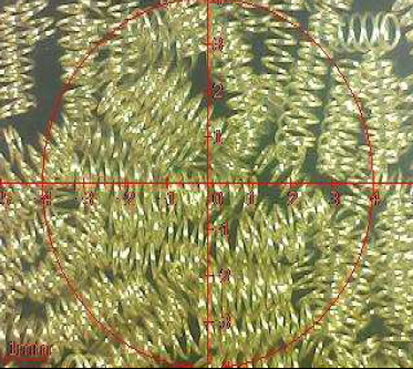 ประเภทของสปริงขั้วต่อ pogo pin